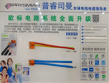姚欣